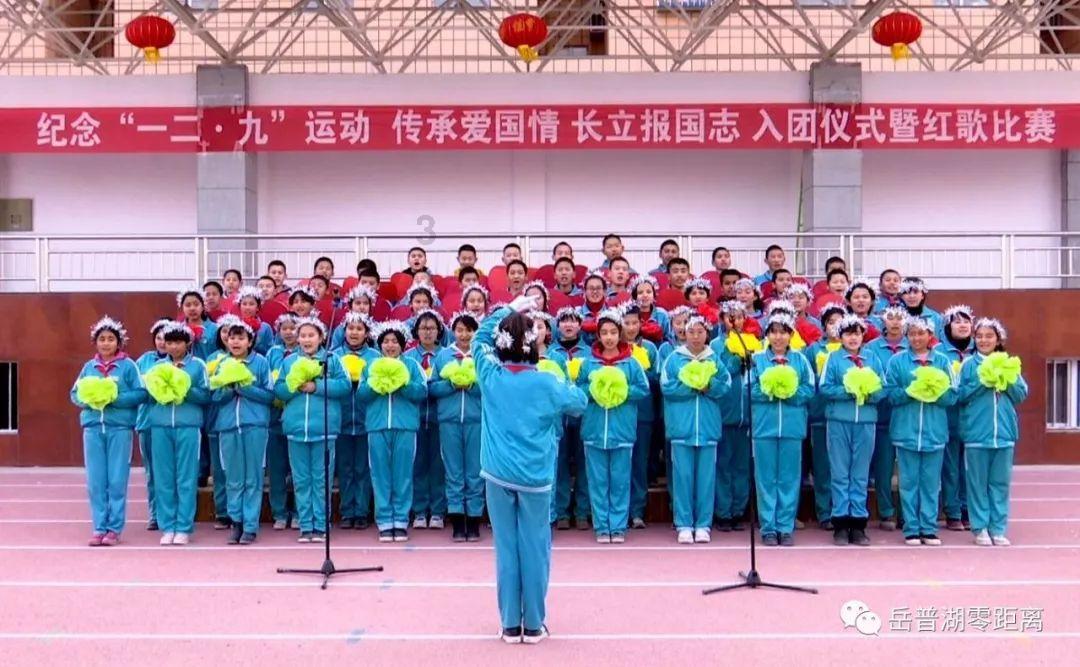 蓝狐视频